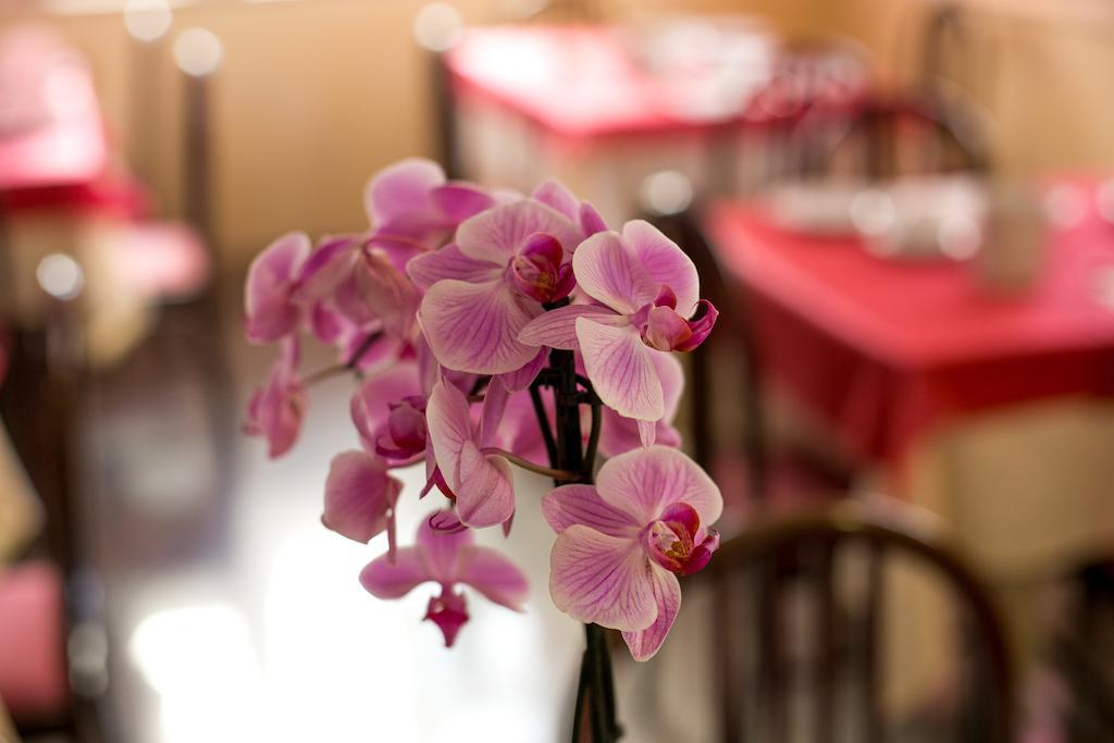Hotel Le Soleil ซัน เบเนเดตโต เดล ตรอนโต ภายนอก รูปภาพ